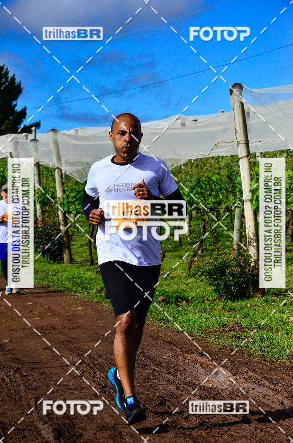 Buy your photos of the eventCIRCUITO DOS VINHEDOS - VINHOS DE ALTITUDE on Fotop