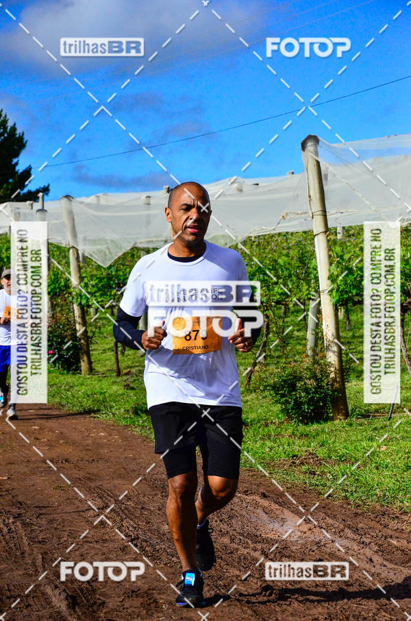 Buy your photos of the eventCIRCUITO DOS VINHEDOS - VINHOS DE ALTITUDE on Fotop