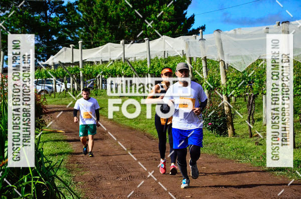 Buy your photos of the eventCIRCUITO DOS VINHEDOS - VINHOS DE ALTITUDE on Fotop