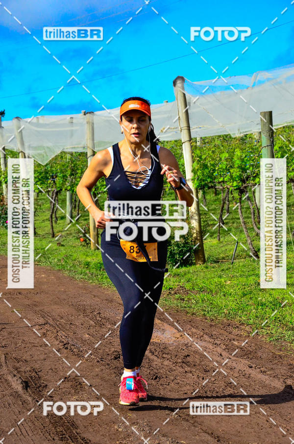 Buy your photos of the eventCIRCUITO DOS VINHEDOS - VINHOS DE ALTITUDE on Fotop