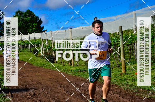 Buy your photos of the eventCIRCUITO DOS VINHEDOS - VINHOS DE ALTITUDE on Fotop