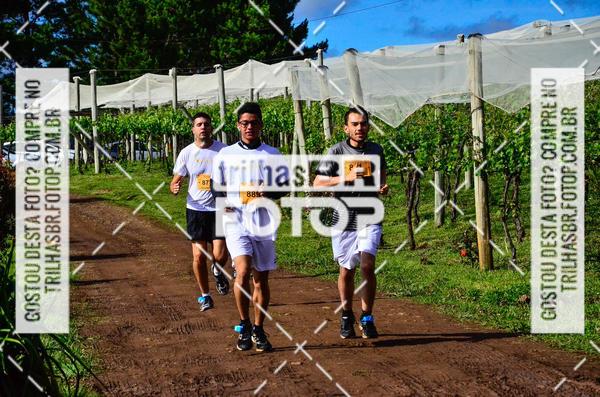 Buy your photos of the eventCIRCUITO DOS VINHEDOS - VINHOS DE ALTITUDE on Fotop