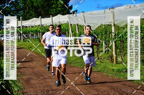 Buy your photos of the eventCIRCUITO DOS VINHEDOS - VINHOS DE ALTITUDE on Fotop