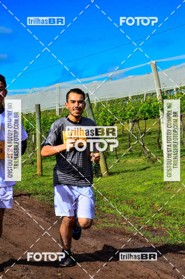 Buy your photos of the eventCIRCUITO DOS VINHEDOS - VINHOS DE ALTITUDE on Fotop
