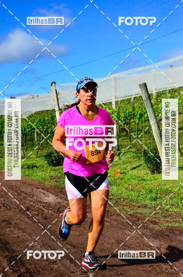 Buy your photos of the eventCIRCUITO DOS VINHEDOS - VINHOS DE ALTITUDE on Fotop