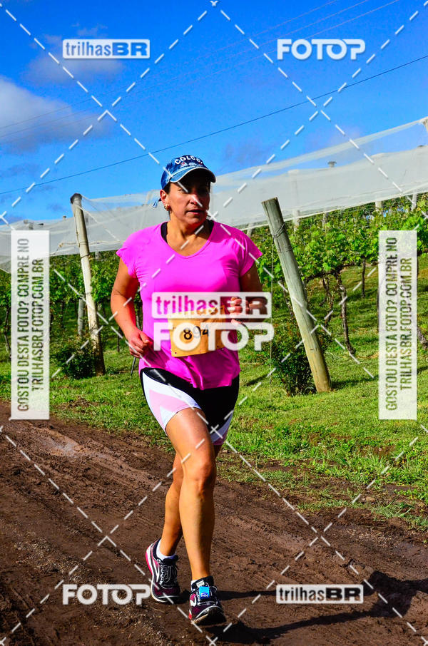 Buy your photos of the eventCIRCUITO DOS VINHEDOS - VINHOS DE ALTITUDE on Fotop