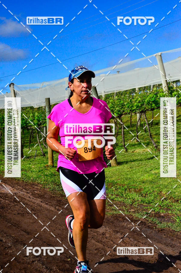 Buy your photos of the eventCIRCUITO DOS VINHEDOS - VINHOS DE ALTITUDE on Fotop