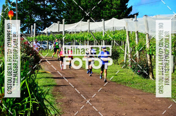 Buy your photos of the eventCIRCUITO DOS VINHEDOS - VINHOS DE ALTITUDE on Fotop