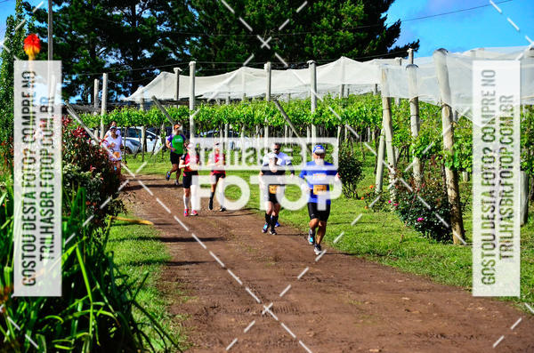Buy your photos of the eventCIRCUITO DOS VINHEDOS - VINHOS DE ALTITUDE on Fotop