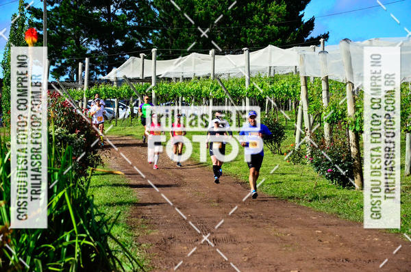 Buy your photos of the eventCIRCUITO DOS VINHEDOS - VINHOS DE ALTITUDE on Fotop
