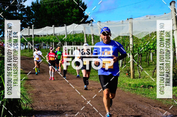 Buy your photos of the eventCIRCUITO DOS VINHEDOS - VINHOS DE ALTITUDE on Fotop