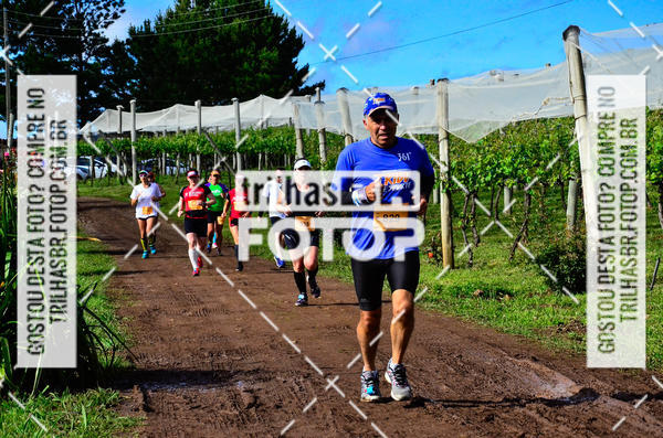 Buy your photos of the eventCIRCUITO DOS VINHEDOS - VINHOS DE ALTITUDE on Fotop