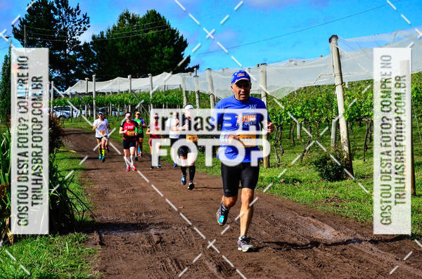 Buy your photos of the eventCIRCUITO DOS VINHEDOS - VINHOS DE ALTITUDE on Fotop