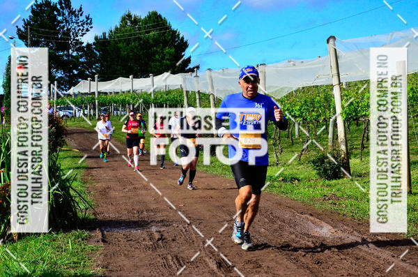 Buy your photos of the eventCIRCUITO DOS VINHEDOS - VINHOS DE ALTITUDE on Fotop