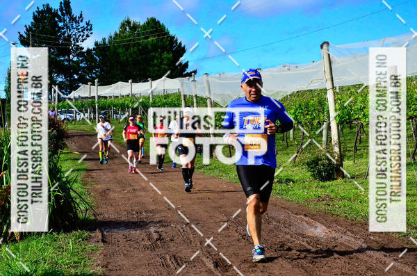 Buy your photos of the eventCIRCUITO DOS VINHEDOS - VINHOS DE ALTITUDE on Fotop