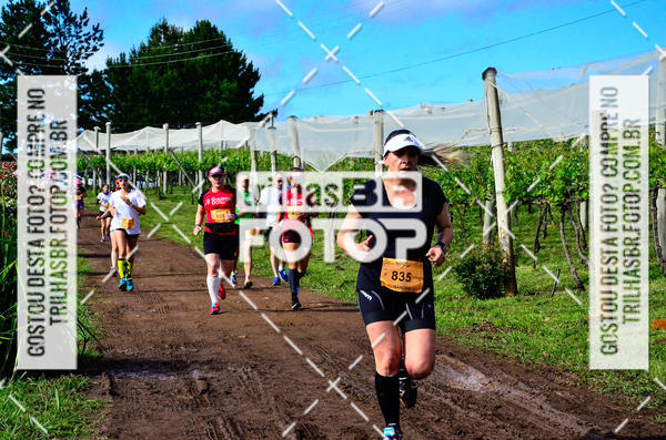 Buy your photos of the eventCIRCUITO DOS VINHEDOS - VINHOS DE ALTITUDE on Fotop