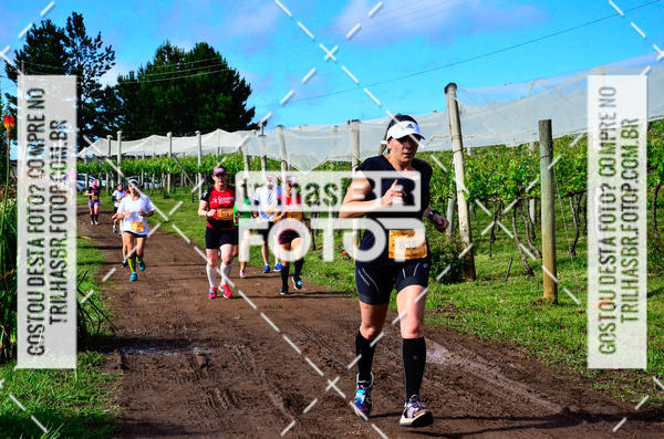 Buy your photos of the eventCIRCUITO DOS VINHEDOS - VINHOS DE ALTITUDE on Fotop