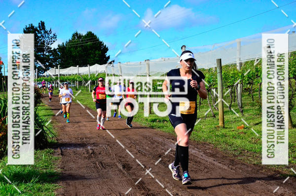 Buy your photos of the eventCIRCUITO DOS VINHEDOS - VINHOS DE ALTITUDE on Fotop