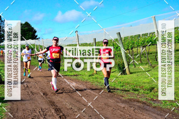 Buy your photos of the eventCIRCUITO DOS VINHEDOS - VINHOS DE ALTITUDE on Fotop