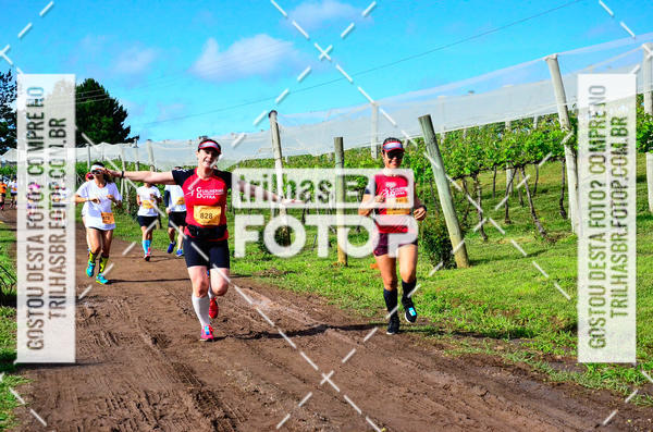 Buy your photos of the eventCIRCUITO DOS VINHEDOS - VINHOS DE ALTITUDE on Fotop