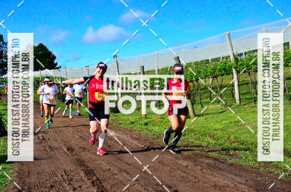 Buy your photos of the eventCIRCUITO DOS VINHEDOS - VINHOS DE ALTITUDE on Fotop