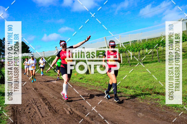 Buy your photos of the eventCIRCUITO DOS VINHEDOS - VINHOS DE ALTITUDE on Fotop