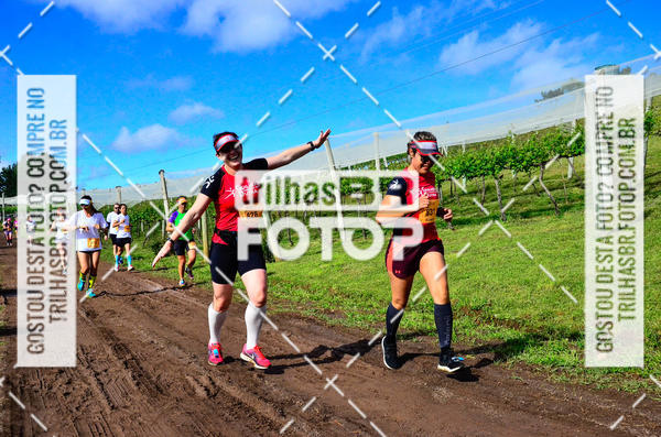 Buy your photos of the eventCIRCUITO DOS VINHEDOS - VINHOS DE ALTITUDE on Fotop