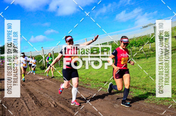 Buy your photos of the eventCIRCUITO DOS VINHEDOS - VINHOS DE ALTITUDE on Fotop