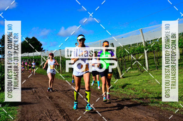 Buy your photos of the eventCIRCUITO DOS VINHEDOS - VINHOS DE ALTITUDE on Fotop