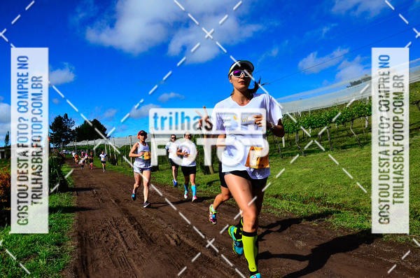 Buy your photos of the eventCIRCUITO DOS VINHEDOS - VINHOS DE ALTITUDE on Fotop