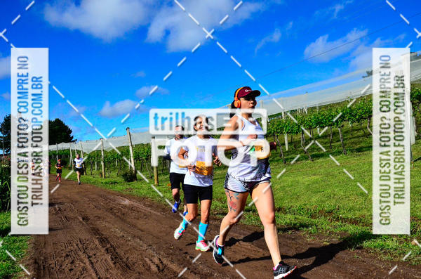 Buy your photos of the eventCIRCUITO DOS VINHEDOS - VINHOS DE ALTITUDE on Fotop