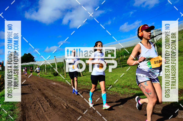 Buy your photos of the eventCIRCUITO DOS VINHEDOS - VINHOS DE ALTITUDE on Fotop