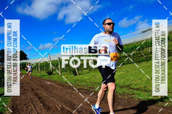 Buy your photos of the eventCIRCUITO DOS VINHEDOS - VINHOS DE ALTITUDE on Fotop