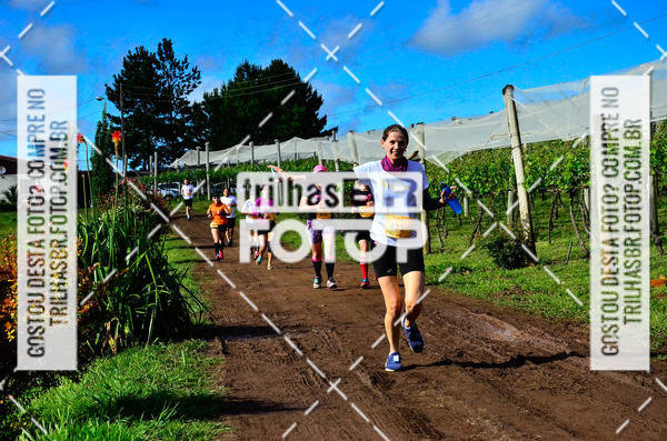 Buy your photos of the eventCIRCUITO DOS VINHEDOS - VINHOS DE ALTITUDE on Fotop