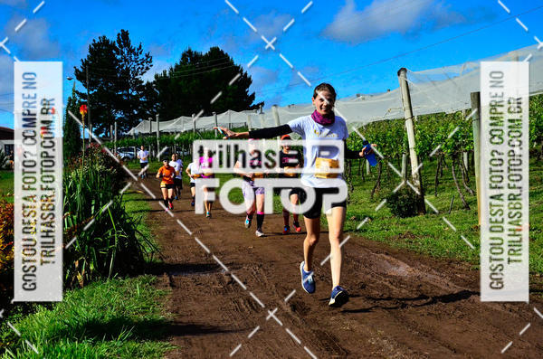 Buy your photos of the eventCIRCUITO DOS VINHEDOS - VINHOS DE ALTITUDE on Fotop