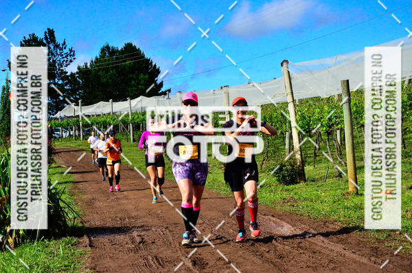 Buy your photos of the eventCIRCUITO DOS VINHEDOS - VINHOS DE ALTITUDE on Fotop