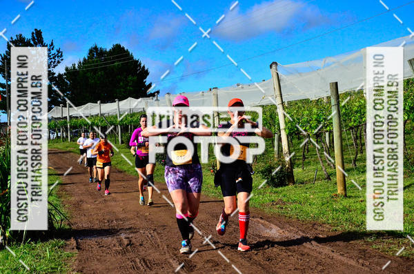 Buy your photos of the eventCIRCUITO DOS VINHEDOS - VINHOS DE ALTITUDE on Fotop