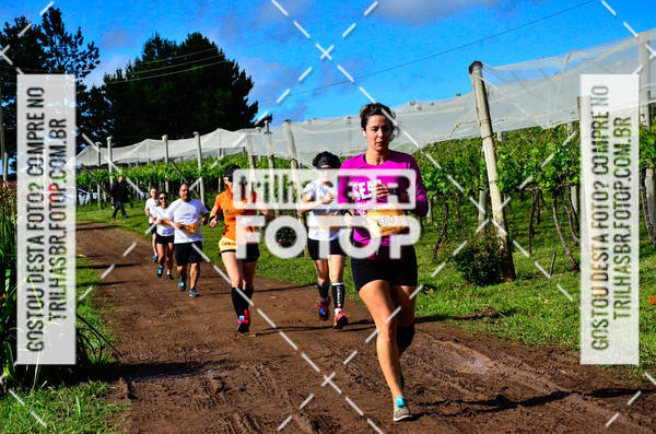 Buy your photos of the eventCIRCUITO DOS VINHEDOS - VINHOS DE ALTITUDE on Fotop