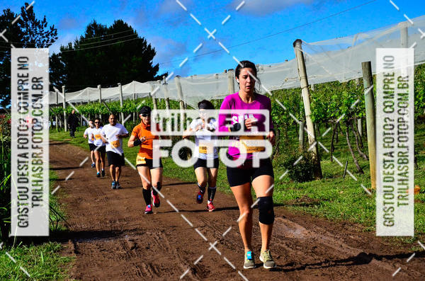 Buy your photos of the eventCIRCUITO DOS VINHEDOS - VINHOS DE ALTITUDE on Fotop