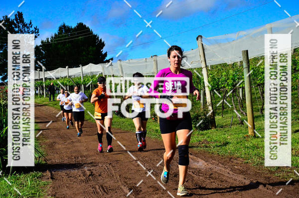 Buy your photos of the eventCIRCUITO DOS VINHEDOS - VINHOS DE ALTITUDE on Fotop