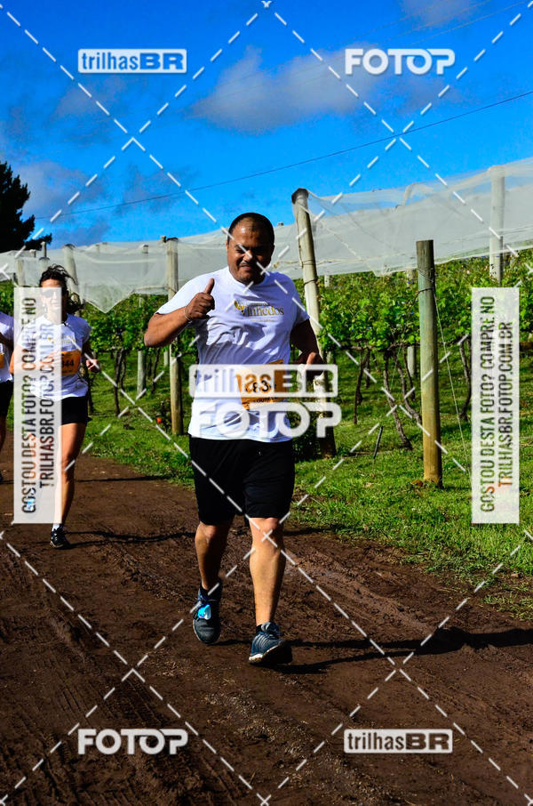 Buy your photos of the eventCIRCUITO DOS VINHEDOS - VINHOS DE ALTITUDE on Fotop