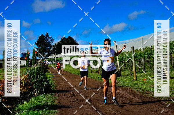 Buy your photos of the eventCIRCUITO DOS VINHEDOS - VINHOS DE ALTITUDE on Fotop