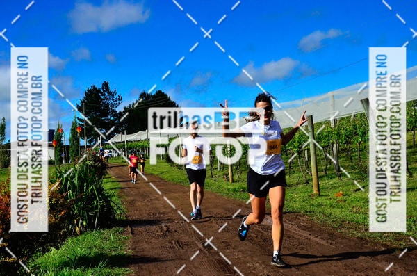 Buy your photos of the eventCIRCUITO DOS VINHEDOS - VINHOS DE ALTITUDE on Fotop