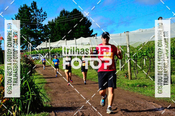 Buy your photos of the eventCIRCUITO DOS VINHEDOS - VINHOS DE ALTITUDE on Fotop