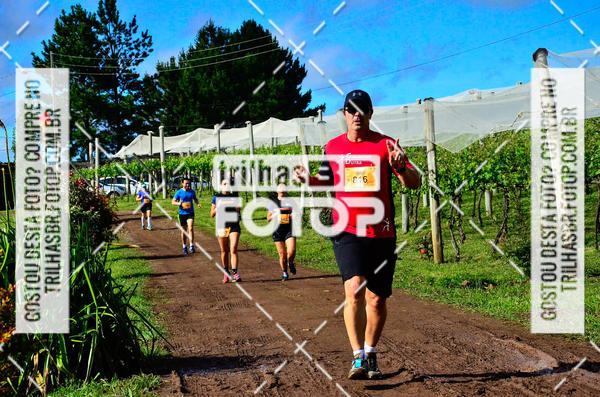 Buy your photos of the eventCIRCUITO DOS VINHEDOS - VINHOS DE ALTITUDE on Fotop