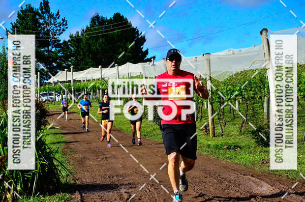Buy your photos of the eventCIRCUITO DOS VINHEDOS - VINHOS DE ALTITUDE on Fotop