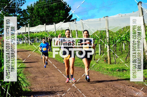 Buy your photos of the eventCIRCUITO DOS VINHEDOS - VINHOS DE ALTITUDE on Fotop