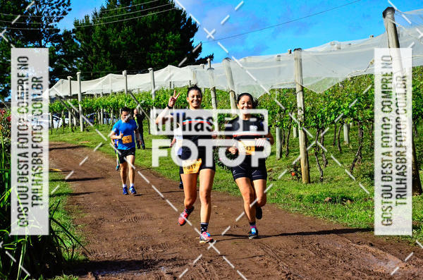 Buy your photos of the eventCIRCUITO DOS VINHEDOS - VINHOS DE ALTITUDE on Fotop