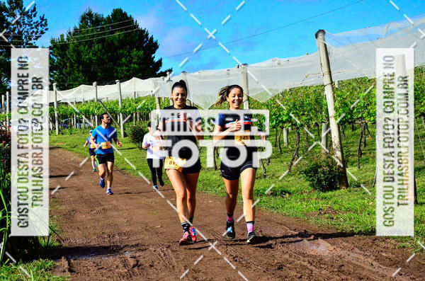 Buy your photos of the eventCIRCUITO DOS VINHEDOS - VINHOS DE ALTITUDE on Fotop
