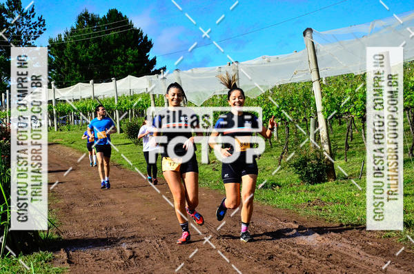 Buy your photos of the eventCIRCUITO DOS VINHEDOS - VINHOS DE ALTITUDE on Fotop
